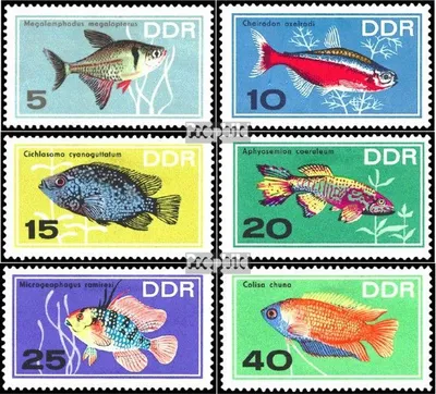 Produktbild von Briefmarken DDR 1966 Mi 1221-1226 (kompl.Ausgabe) gestempelt Zierfische