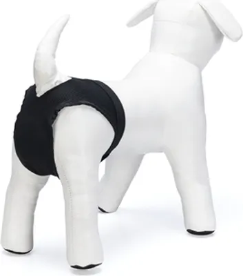 Produktbild von Beeztees Hygienehose - Hund - M - Nylon - Schwarz - 32-37 cm