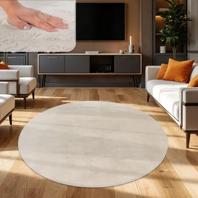 A modern living room with a round rug, sofa, and TV.
