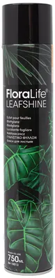 Immagine prodotto di OASIS FLORALIFE lucido per foglie 750ml