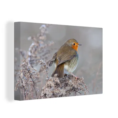Obrázek produktu pro OneMillionCanvasses® Malba na plátně Nástěnná malba na plátně - Zima - Robin - Pták - 150x100cm