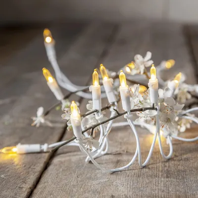 Produktbild von LED Lichterkette Pisello - Weihnachtslichterkette - 20 warmweiße LED - L: 2,85m - für Innen
