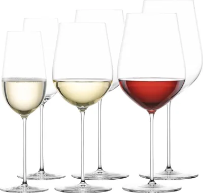 Produktbild von Zwiesel Glas VUELO Wein- und Champagnergläserset 6-teilig