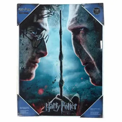 Produktbild von Harry Potter Glasposter Harry & Voldemort 30 x 40 cm