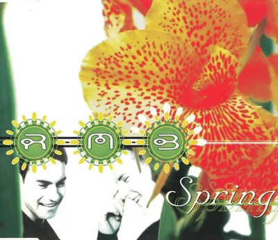 Immagine prodotto di Primavera