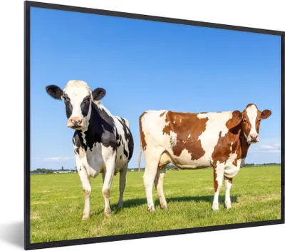 Produktbild von MuchoWow® Gerahmtes Poster Kühe - Bauernhof - Gras - Natur - Tiere 80x60 cm - Poster mit Schwarzem Bilderrahmen Wandposter Rahmen Foto Bilder - Schwarzem - Mit Gestell