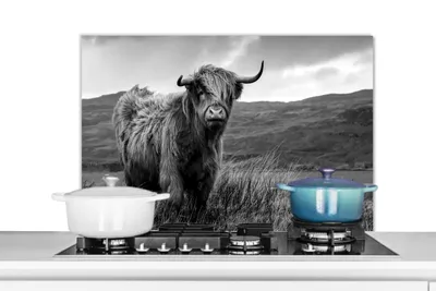 Obrázek produktu pro KitchenYeah® splashback kuchyně - kuchyňský splashback - ochrana stěny sporáku a dřezu - skotský skot - hory - voda - příroda - kráva 90x60 - hliníkový dibond (alternativa ke skleněnému splashbacku) -