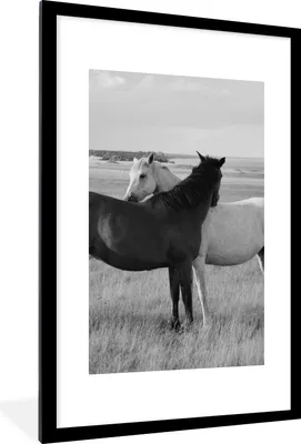 Produktbild von MuchoWow® Gerahmtes Poster Pferde - Tiere - Porträt - Schwarz-Weiß - Landleben 60x90 cm - Poster mit Schwarzem Bilderrahmen Wandposter Rahmen Foto Bilder - Dekoration - Wandposter Wohnzimmer - Hochwertig