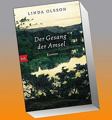Produktbild von Der Gesang der Amsel