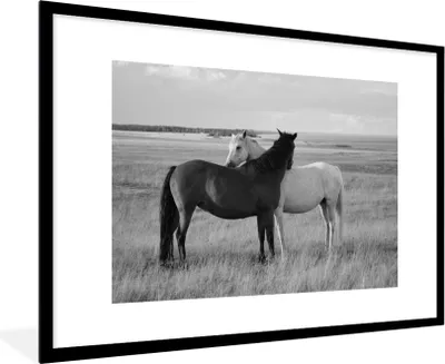 Produktbild von MuchoWow® Gerahmtes Poster Pferde - Tiere - Porträt - Schwarz-Weiß - Landleben 90x60 cm - Poster mit Schwarzem Bilderrahmen Wandposter Rahmen Foto Bilder - Wanddekoration - Fotos