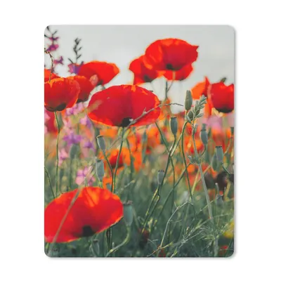 Produktbild von MuchoWow® Mauspad Mousepad Mohn - Blumen - Rot - Lila - Wiese 30x40 cm - Mousepads - Maus Mat - Pad - Mausunterlage - Mausmatten