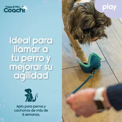 Produktbild von Pet Head Coachi Hundegeschirr aus Polyester