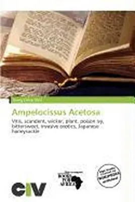 Produktbild von Ampelocissus Acetosa
