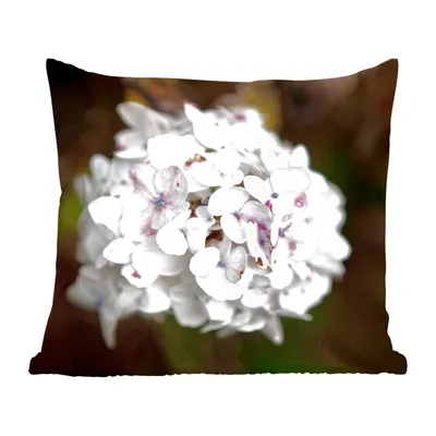 Produktbild von MuchoWow® Zierkissen Sofakissen Wohnzimmer Dekokissen 40x40 cm Weiße Hortensie vor schwarzem Hintergrund - Foto Kissen - Schlafzimmer Dekoration