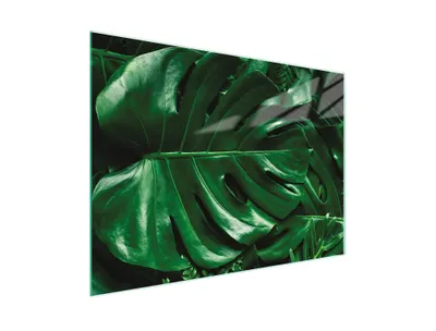 Immagine prodotto di Tagliere Piastra copriforno Tagliere multiglass 30x22 cm Monstera Verde