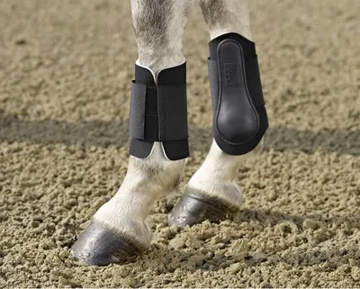Produktbild von Eskadron Gamaschen Neopren hinten