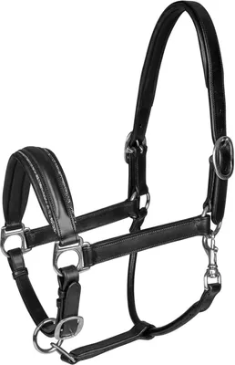 Image de Waldhausen Licol S-Line Glamour Licol en cuir noir WB