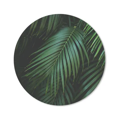 Produktbild von MuchoWow® Mauspad Mousepad Palmenblätter - Palmen - Tropisch 20x20 cm - Mousepads - Maus Mat - Pad - Mausunterlage - Schreibtischmatte