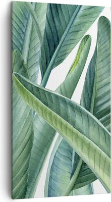Produktbild von Bild auf Leinwand - Leinwandbild - Einteilig - Exotisch Blätter Grün - 45x80cm - Wand Bild - Wanddeko - Wandbilder - Leinwanddruck - Bilder - Wanddekoration - Leinwand bilder - Wandbild - PA45x80-4258