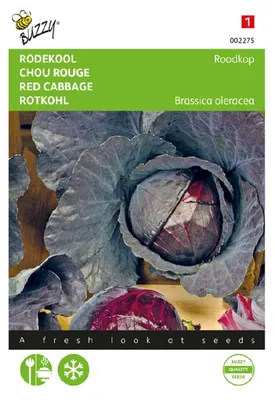 Produktbild von Rotkohl Roodkop | Rotkohlsamen von Buzzy Seeds