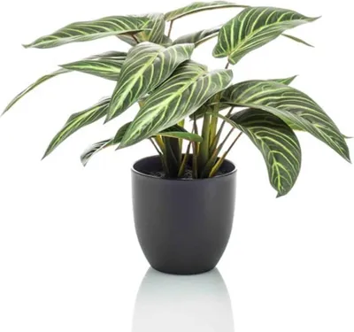 Produktbild von Calathea Zebrina – Korbmarante – Kunstpflanze – 42cm hoch – Schwarzer Topf Ø10–16cm – Realistisches Zebramuster – Pflegeleicht & dekorativ – Für Zuhause & Büro