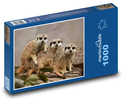 Obrázek produktu pro Puzzle 1000 Surikaty v zoo - martinpuzzle