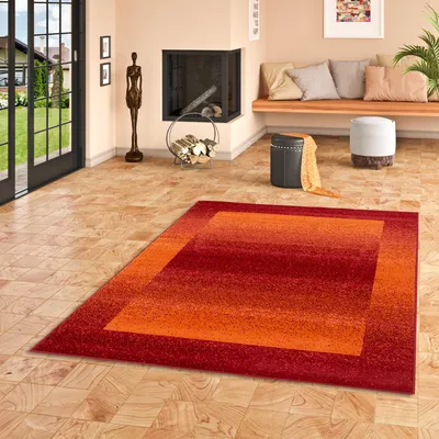 Produktbild von Modern Designer Teppich Velours Samba, Größe:190x280 cm, Design:Terrakotta Bordüre