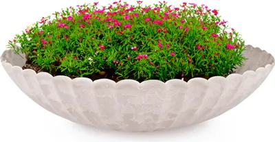 Produktbild von Pflanzschale für draussen Dekoschale rund sand beige marmoriert 35 cm