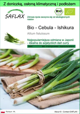 Zdjęcie produktu dla SAFLAX - Garden to go - Bio - Cebula - Ishikura - 150 Nasiona - Z doniczką, pokrywą klimatyczną i podłożem do uprawy - Allium fistulosum