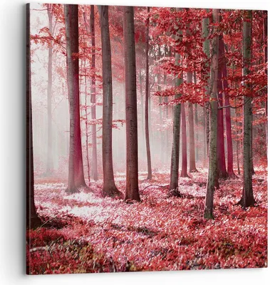 Produktbild von Bild auf Leinwand - Leinwandbild - Einteilig - Wald Rot Bäume - 70x70cm - Wand Bild - Wanddeko - Wandbilder - Leinwanddruck - Bilder - Wanddekoration - Leinwand bilder - Wandbild - AC70x70-4944