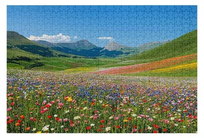 Zdjęcie produktu dla Puzzle z 2000 elementów przedstawiające krajobrazy