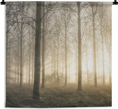Produktbild von MuchoWow® Wandteppich Wandbehang Wald - Sonne - Nebel 90x90 cm Tapisserie Dekoration Wandtuch - Wandaufhänger