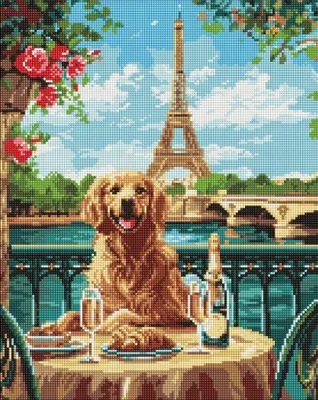 Zdjęcie produktu dla Diamentowa mozaika - Retriever w Paryżu 40x50cm - Ideyka