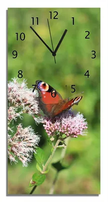 Produktbild von Wallario Design Wanduhr bedruckt, Größe 30 x 60 cm, Motiv: Schmetterling auf Blüte