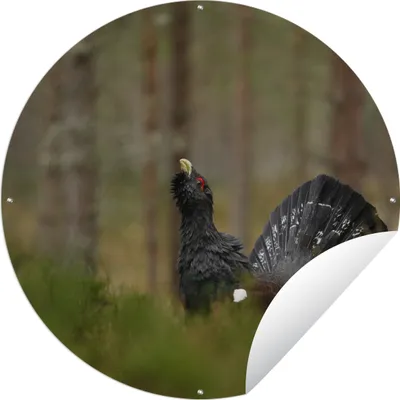 Produktbild von MuchoWow®