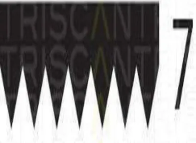 Immagine prodotto di Cintura a coste multiple GATES 7PK1325