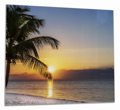 Produktbild von Wallario Herdabdeckplatte aus Glas, Größe 60 x 52 cm 1-teilig, Motiv Palme am Strand - Sonnenuntergang über dem Meer