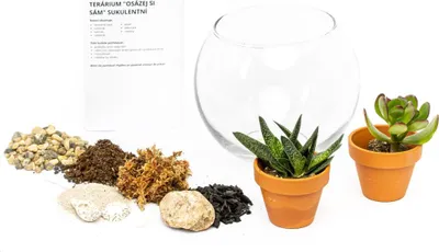 Obrázek produktu pro Gardners Skleněná váza boule OSÁZEJ SI SÁM suchomilně, M