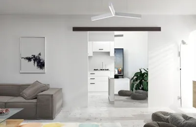 Zdjęcie produktu dla Drzwi przesuwne naścienne EKO-19 z lustrem | Wenge | Z samodomykaczem | 86x205 cm