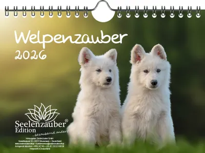 Produktbild von Welpenzauber DIN A5 Kalender für 2026 Hunde Welpen - Seelenzauber