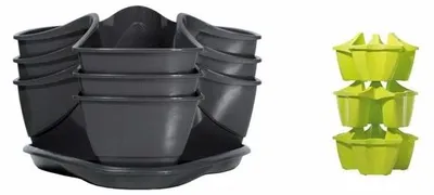 Obrázek produktu pro Petrželák COUBI HERBAL grafit 29,5cm