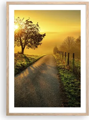 Produktbild von Gerahmtes Poster - Rahmen in heller Eiche - Feld Straße Baum - 50x70 cm - Wand Bild - Wanddeko - Wandbilder - Kunstposter - Wandposter - Bilderrahmen - Bilder - Kunstdruck - Wandbild - P2NPA50x70-3851