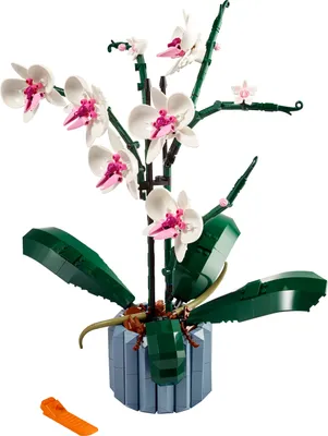 Produktbild von LEGO Botanicals Orchidee - Künstliche Pflanzen Set mit weißen und rosa Blumen - Modellbausatz für Erwachsene - Home und Zimmer-Deko - Botanik Kollektion - Geschenke für Frauen und Männer 10311