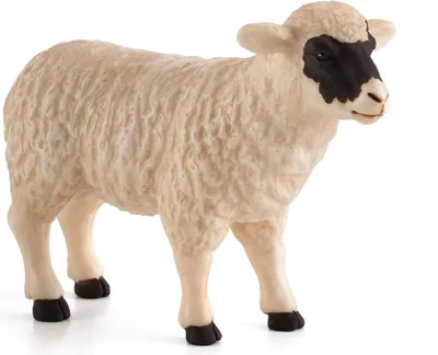Obrázok produktu pre Mojo Fun Black faced Sheep (Ewe), 3 rok / roky, FARMLAND, Biela, Čierna, Polyvinylchlorid (PVC)