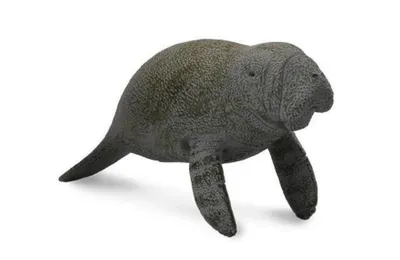 Zdjęcie produktu dla Collecta 88456 Manat pływający 9 cm Zwierzęta wodne