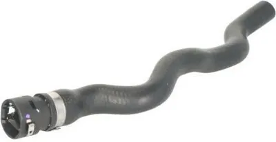 Produktbild von THERMOTEC Kühlerschlauch Wasserschlauch für RENAULT CLIO II (BB0/1/2, CB0/1/2) DNR056TT