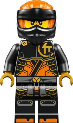 Immagine prodotto di LEGO Ninjago: Cole (Dragons Rising)