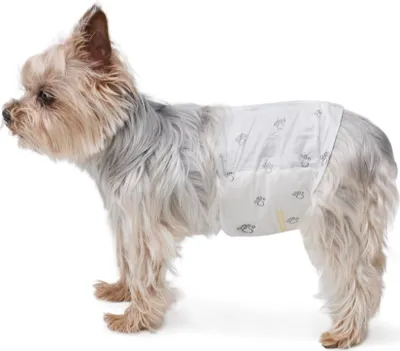 Produktbild von A. Basics Hundewindel für Rüden, Einwegwindeln, Größe XS, Weiß, 30 Stück