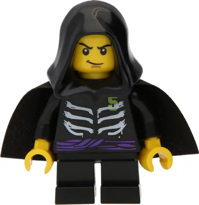Image de LEGO Ninjago : Lloyd Garmadon (L'ascension des serpents)