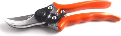Image de Stihl Sécateur PG 10 Sécateur universel pour rosiers Sécateur pour fleurs Sécateur pour arbustes